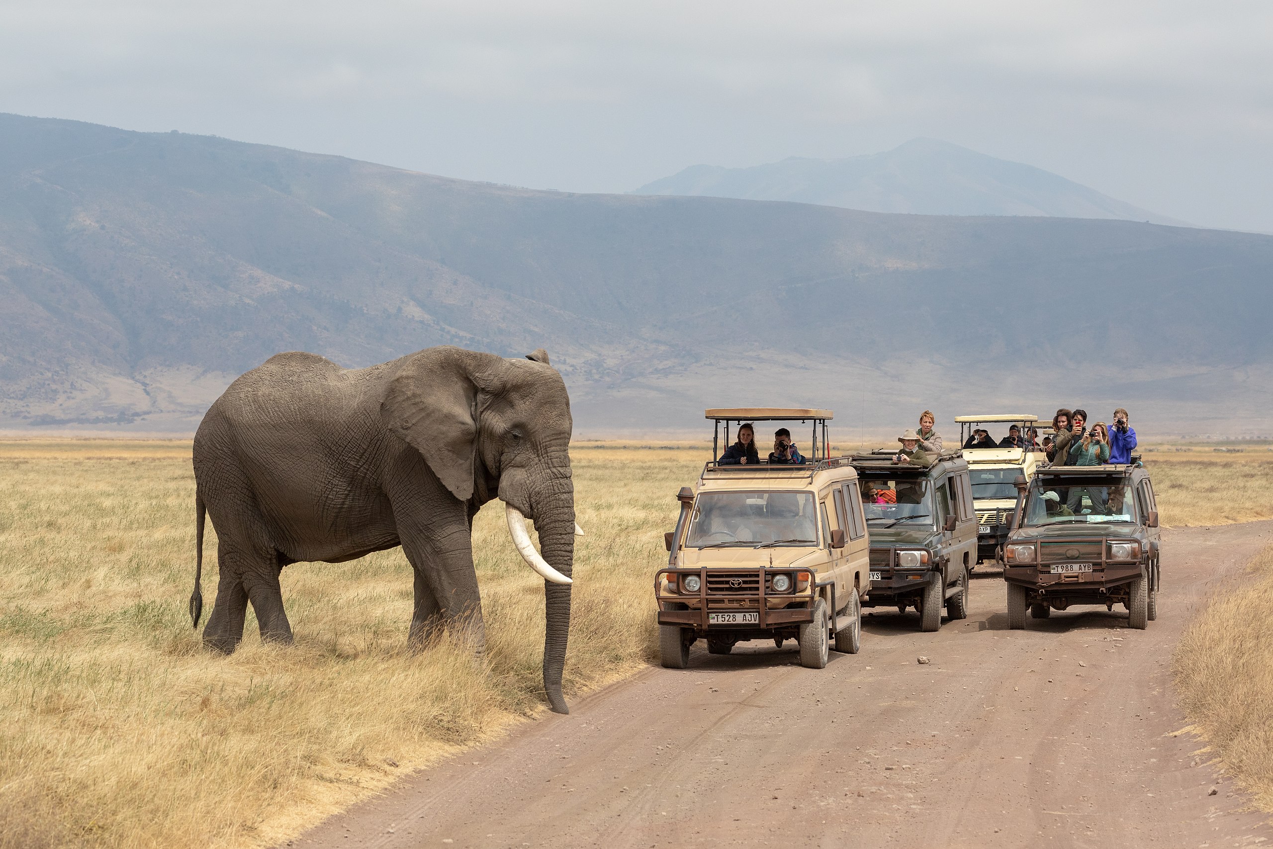 6 Days Tanzania Lodge Safari With Serengeti