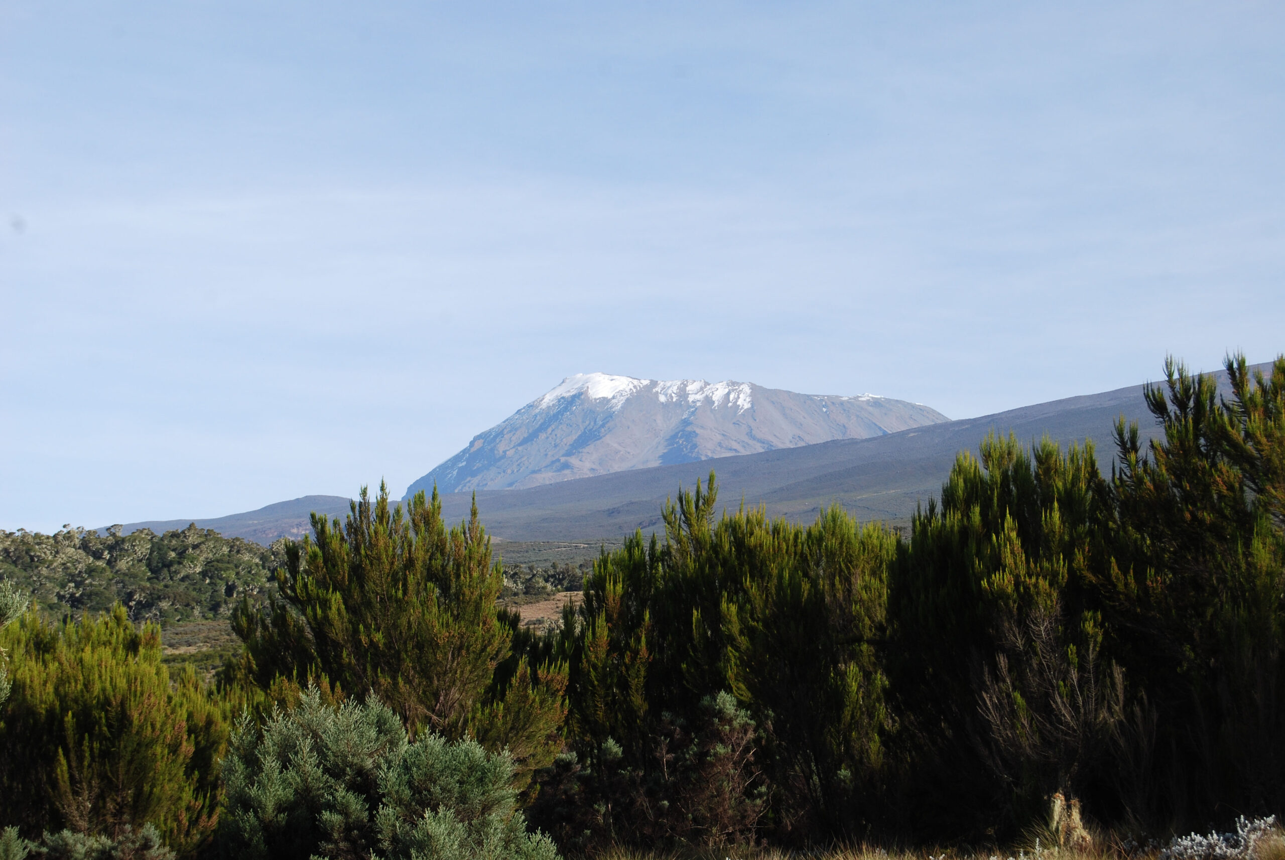 1 Day Mount Kilimanjaro Hiking Tour